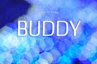 Buddy Font: Elegant Display Typography for Editorial Design