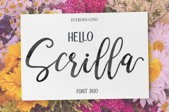 Hello Scrilla Script Font for Modern Marketing