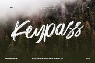 Keypass Font: Elevating Small Business Brand Identity