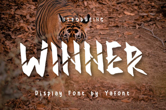 Winner Font: A Bold Display Typeface for Editorial Design